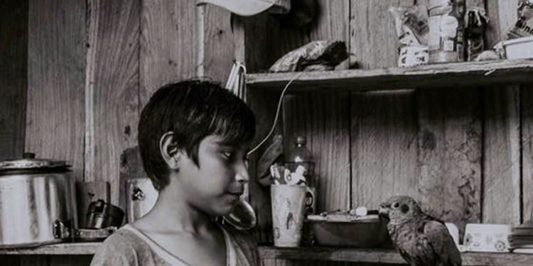 Cortina de Fumaça – O real interesse de Sebastião Salgado na construção da estrada de Pullcapa