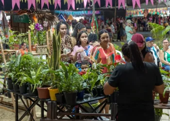 Prefeitura de Cruzeiro do Sul concluiu segunda noite do Arraial Cultural 2025
