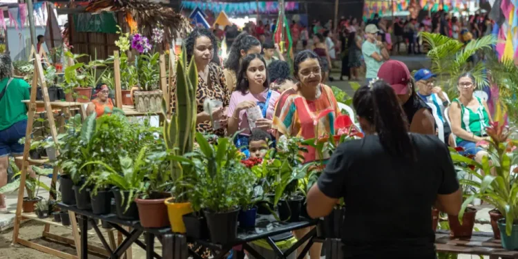 Prefeitura de Cruzeiro do Sul concluiu segunda noite do Arraial Cultural 2025